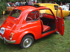 Fiat 500 and Reliant