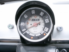 speedo
