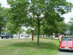 DSCF0450 (Medium)