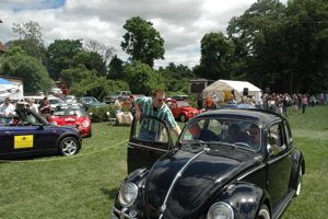 beetle