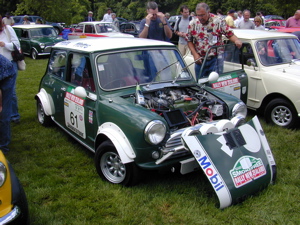 mini_p.JPG