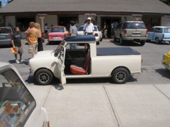 Mini pickup