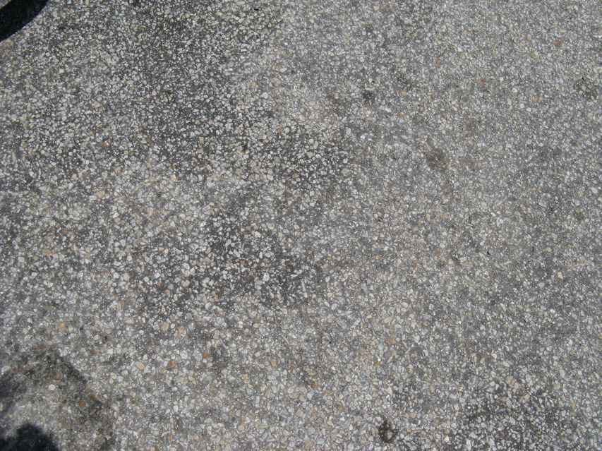 IMG_4041.JPG