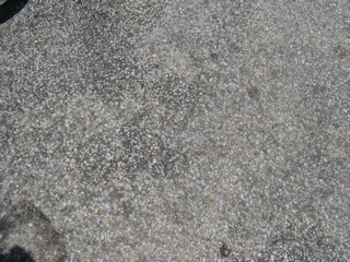 IMG_4041.JPG